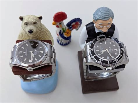 Two watch collection, with my cock in the background : r/rolex